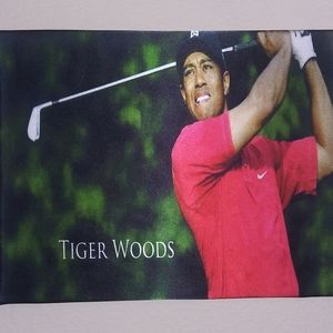 11 × 14 Tiger woods Canvas